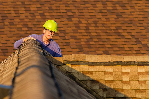 Best Roof Gutter Cleaning  in Huntsville, MO
