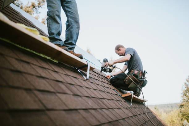 Best Metal Roofing Contractor  in Huntsville, MO
